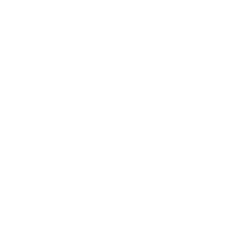 Logo Annual Report Z Transparent